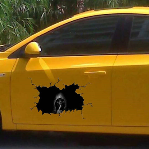 Car body sticker